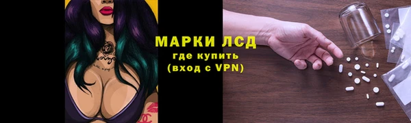 СК Магас