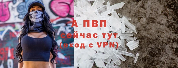 СК Магас
