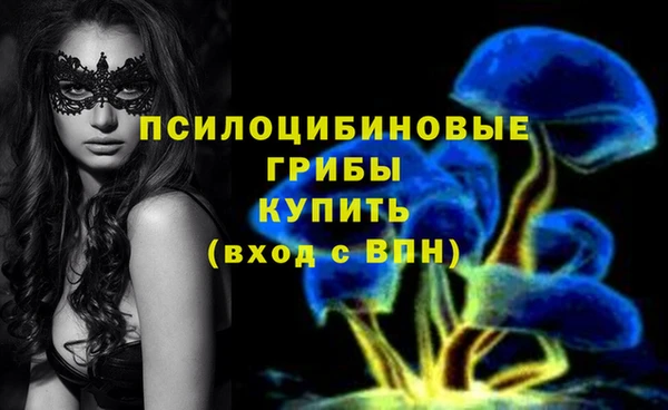 прущая мука Магадан